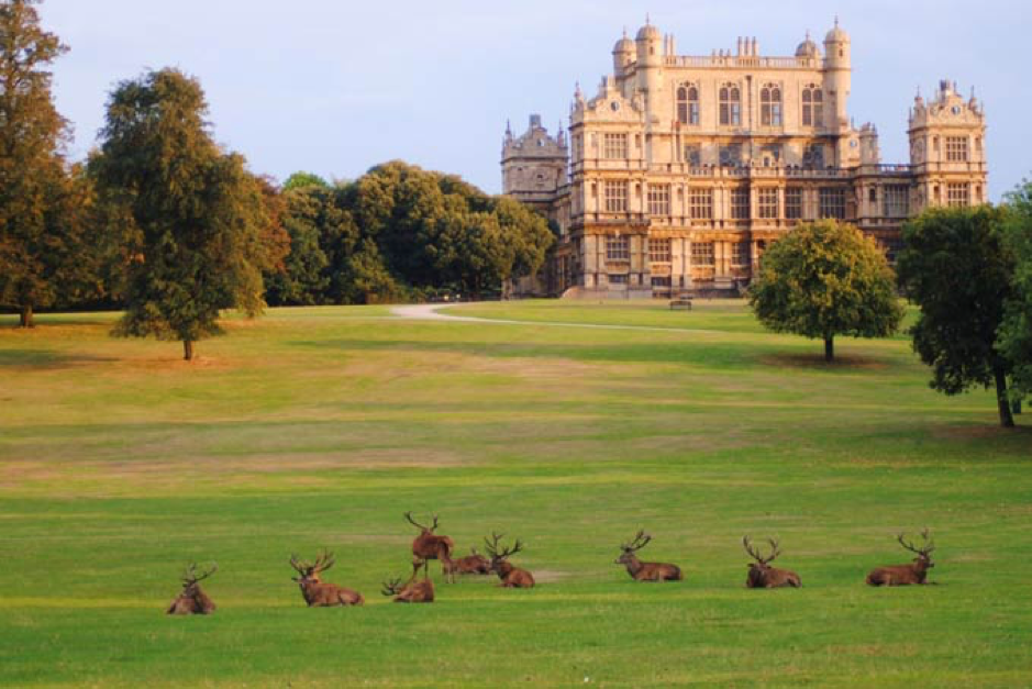 Nottingham’s Green Spaces