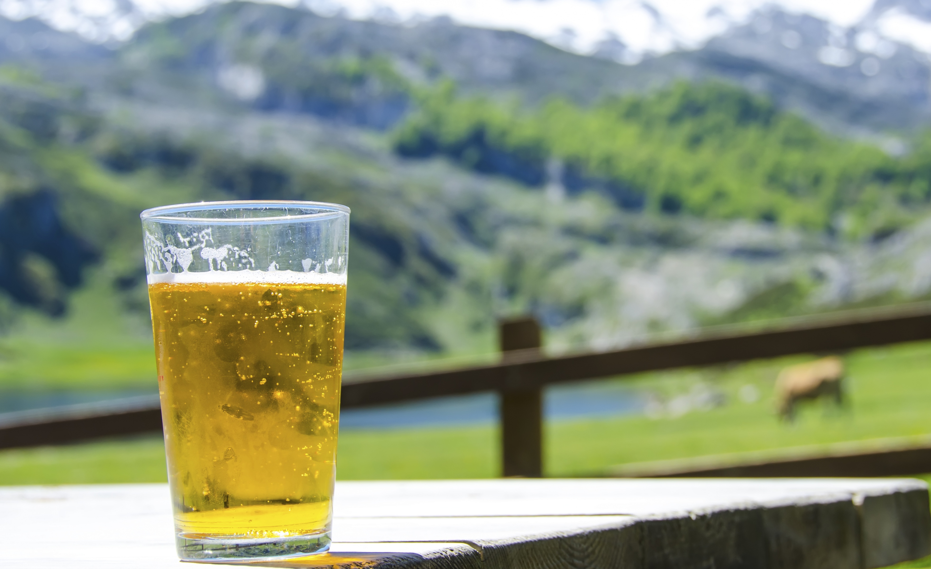 Beer RATIONED during World Cup amid ‘worst CO2 shortage in decades’